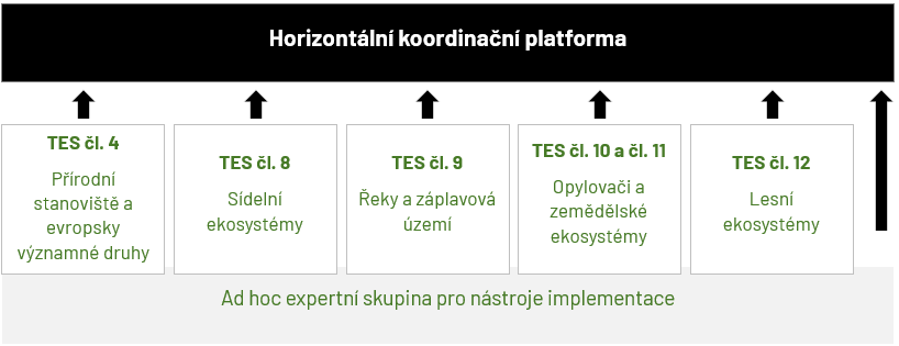 schema