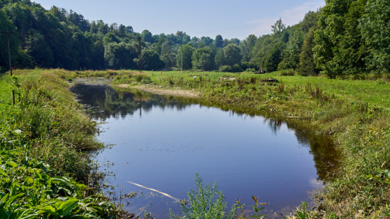 mzp_protipovodnova opatreni_02_protipovodnova uprava nivy Desne