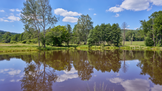mzp_voda_rybnik_Bezdekov u Tremesneho