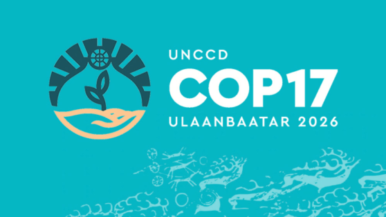 COP 17